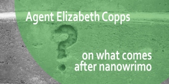 Literary Agent Elizabeth Copps on what comes after Nanowrimo #Nanowrimo #CampNanowrimo #authors
